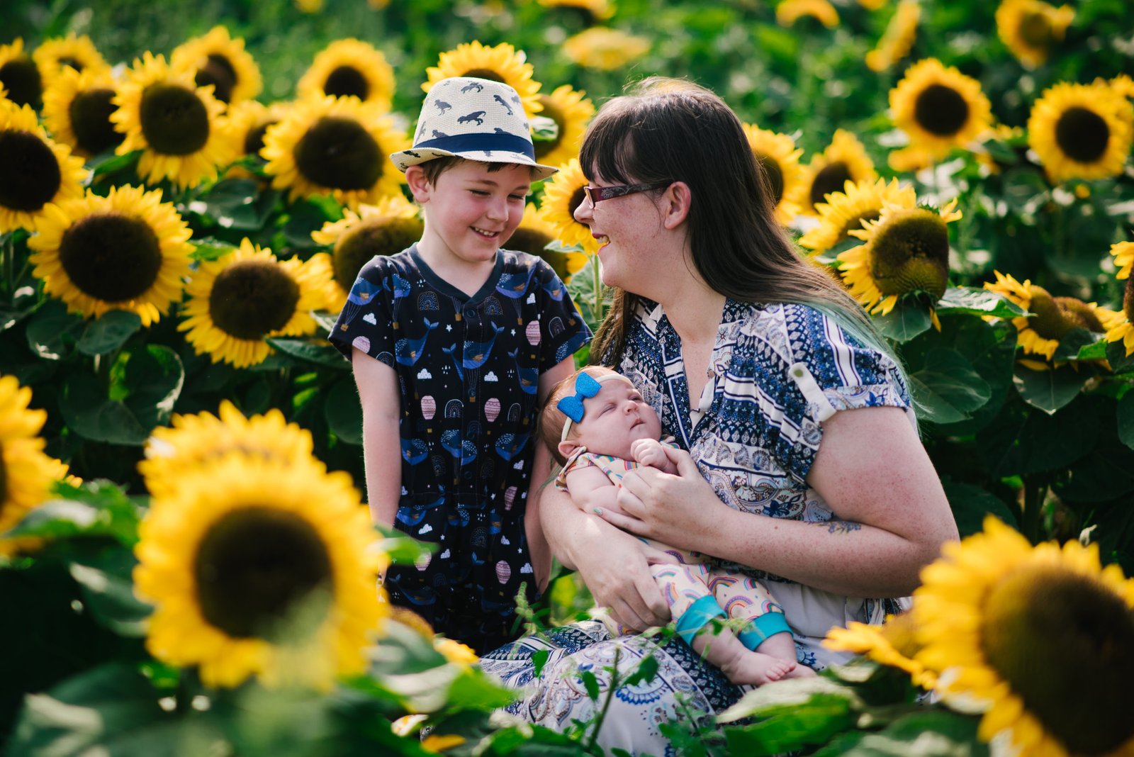 places to see sunflowers in the UK
