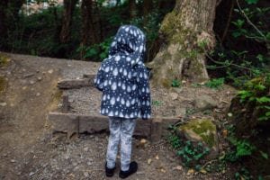 November Aims 2020 – Plans for this month