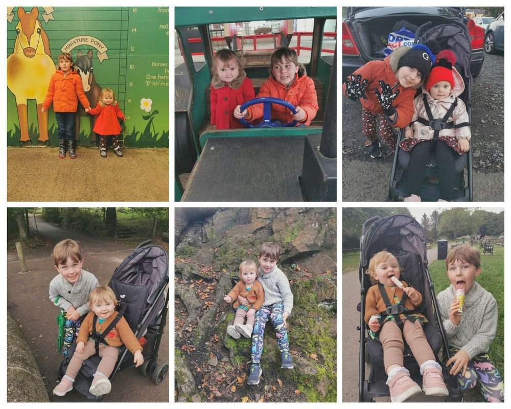 Sibling Project October 2021