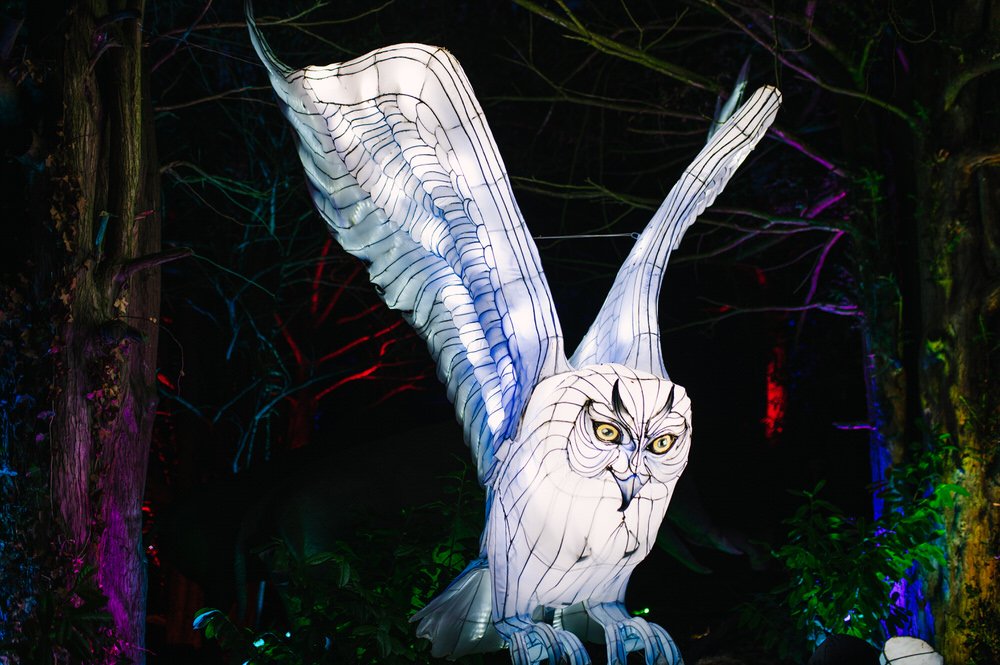 West Midlands Lantern Festival 