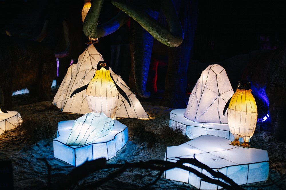 West Midlands Safari Park Events