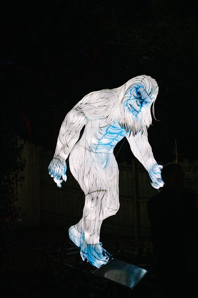 Yeti lantern West Midlands safari park 