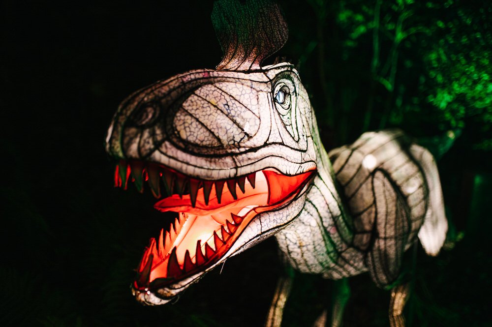 dinosaur lanterns West Midlands 