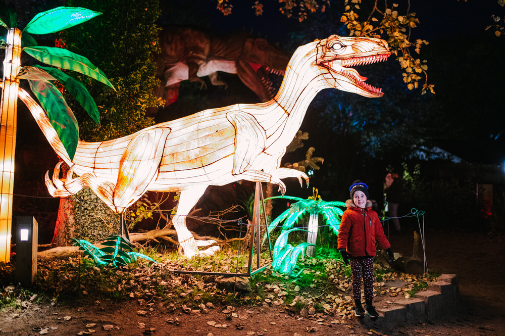 An Evening at West Midlands Safari Park Lantern Festival