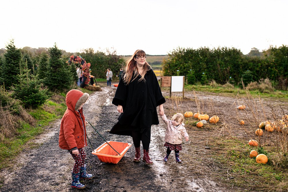 pumpkin field Swansea 