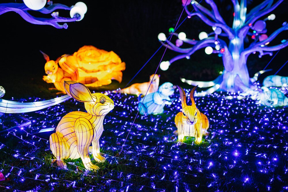Lantern festival West Midlands 