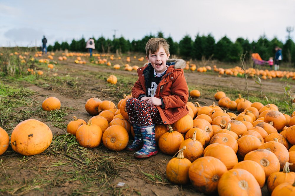 pumpkin patch South Wales