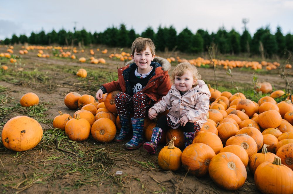 Pumpkin picking Swansea 2021