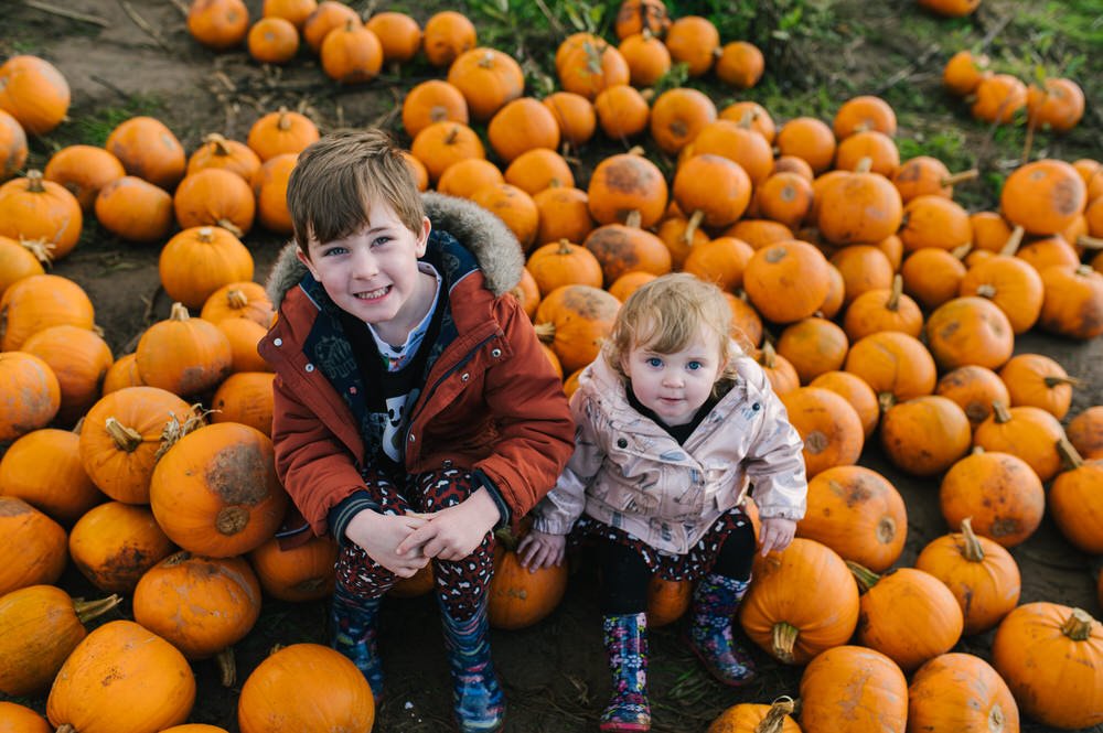 pumpkin picking Swansea