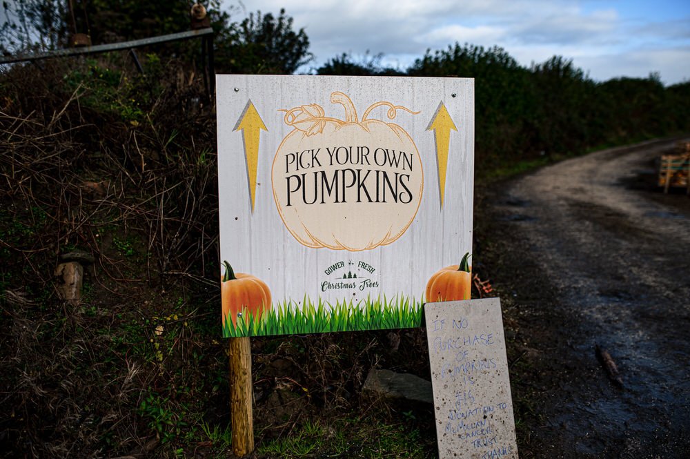 Pumpkin Patch Swansea