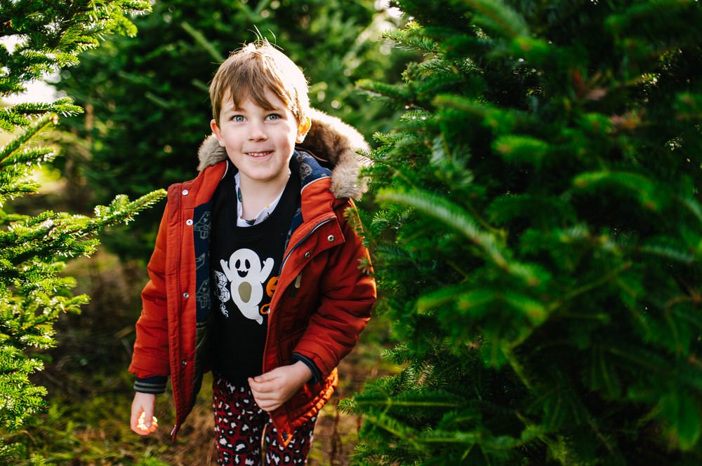 Gower fresh christmas tree farm photoshoot 