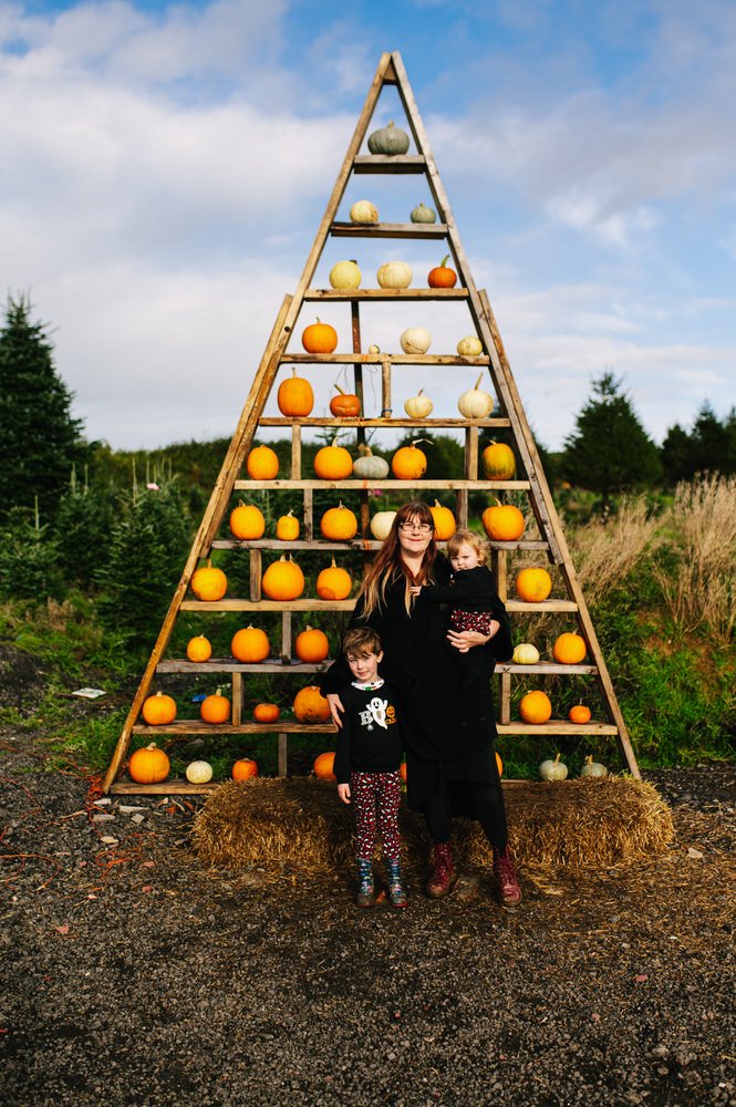 pumpkin picking at Gower fresh christmas tree farm 