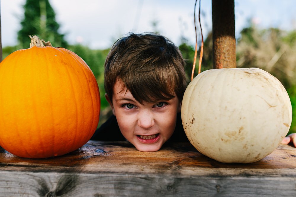 pumpkin picking South Wales