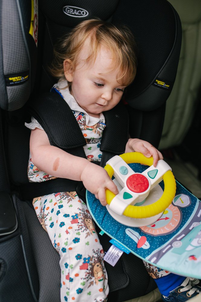 Taf Toys Koala Car Wheel Toy