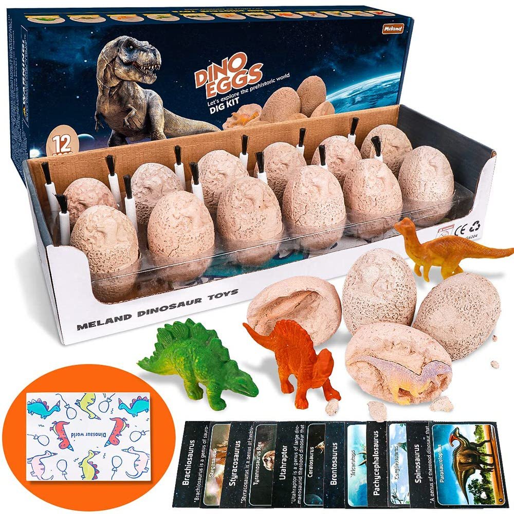 dinosaur excavation eggs