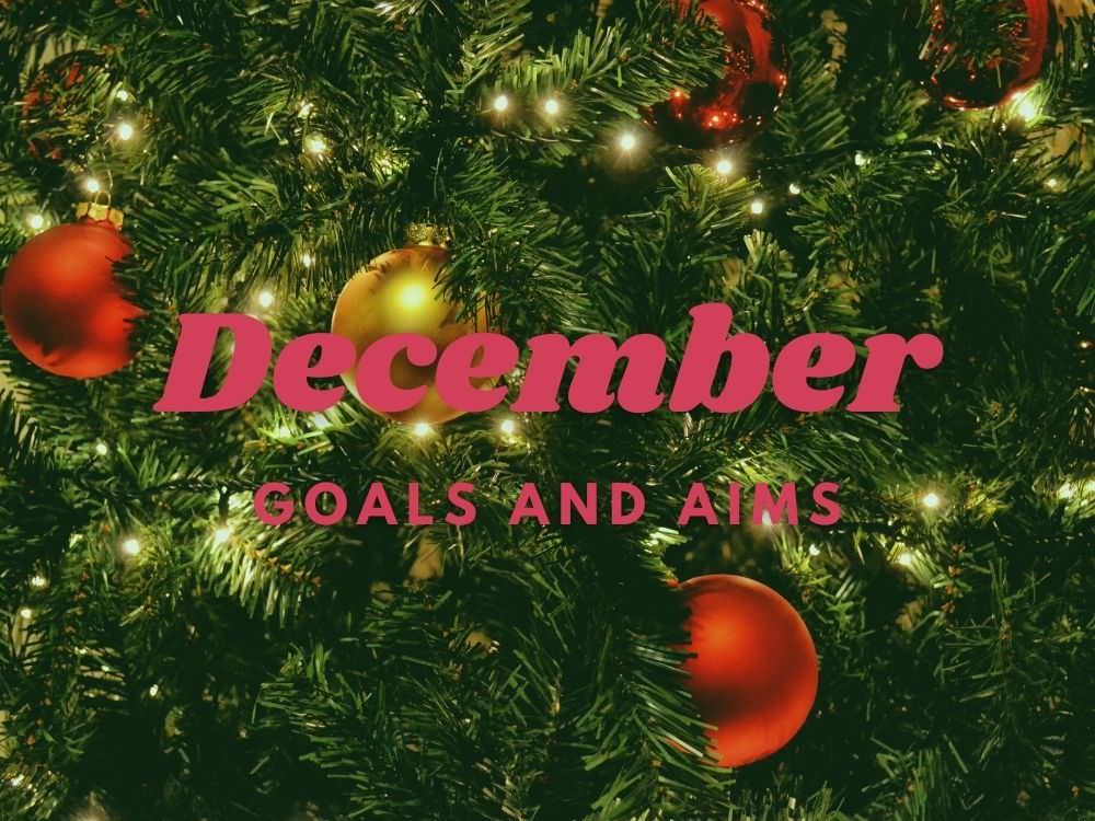 Goodbye November, Hello December – Monthly Highlight and Monthly Review