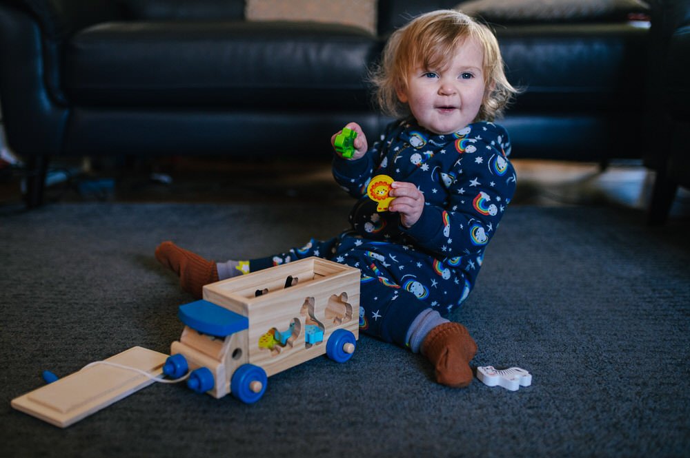 Jaques London Animal shape sorter 