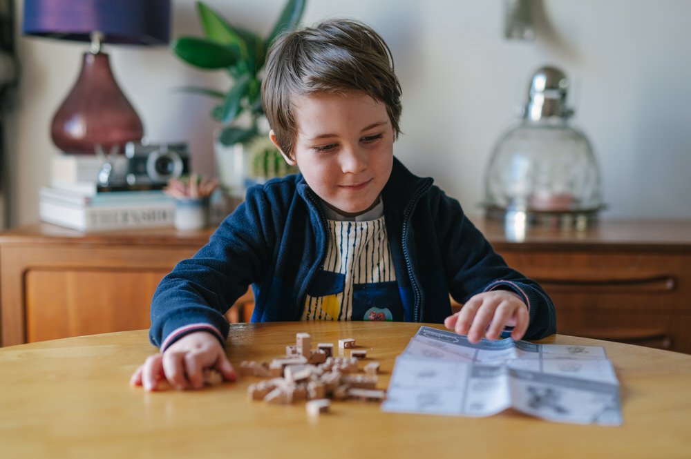 Fab Brix Koala Review