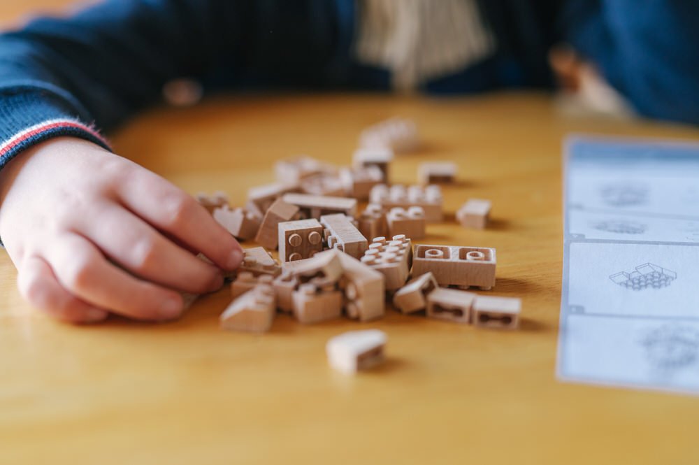 Fab Brix Koala Review