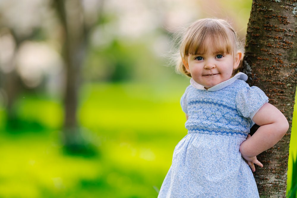 blossom tree portraits 