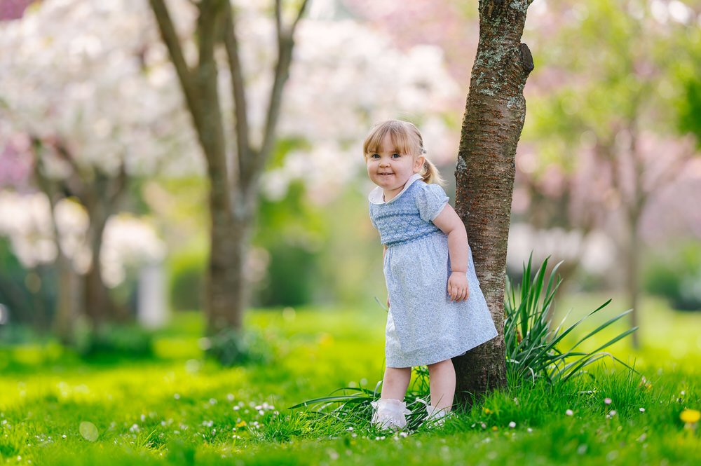blossom tree portraits 