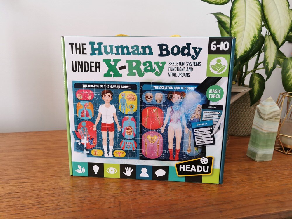 The Human Body Jigsaw - toy giveaway