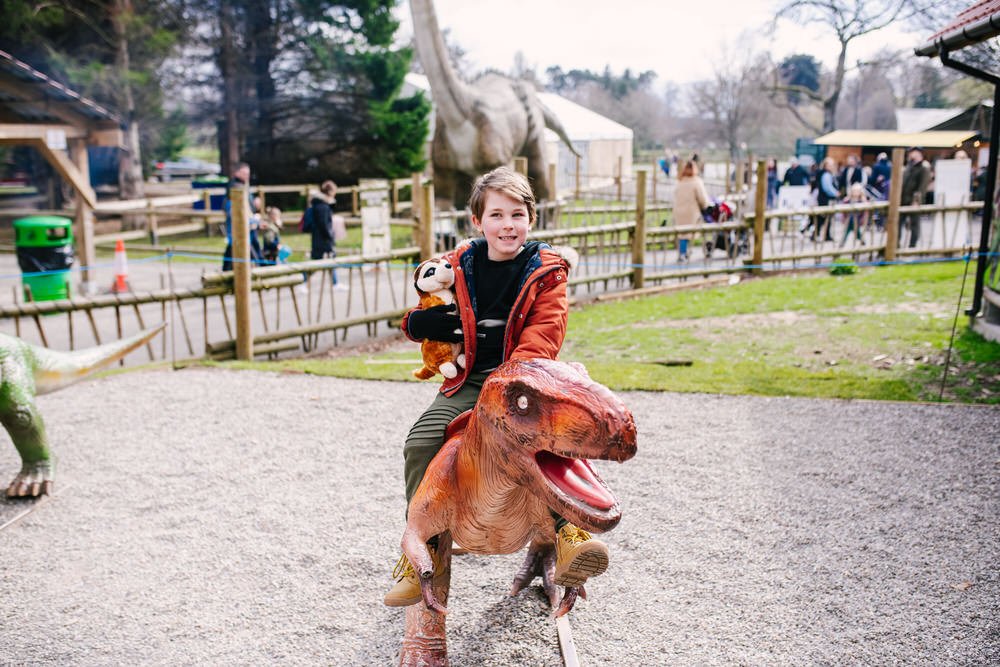 Blair Drummond Safari Park