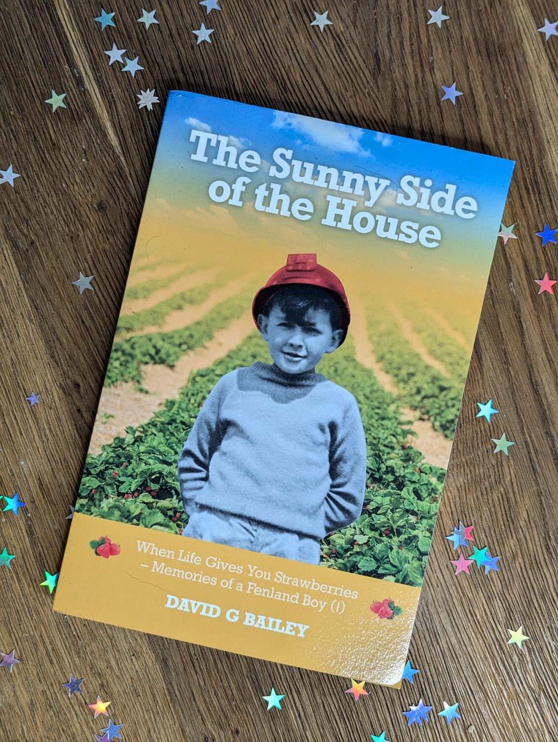 The Sunny Side of the House by David G Bailey