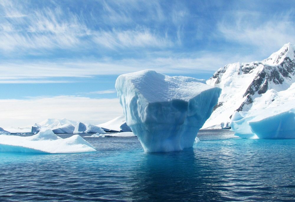 Antarctic Cruises