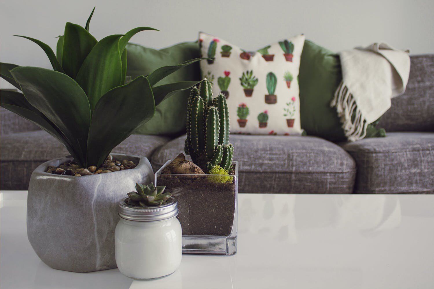 Benefits of Artificial Plants for a Low-Maintenance Home