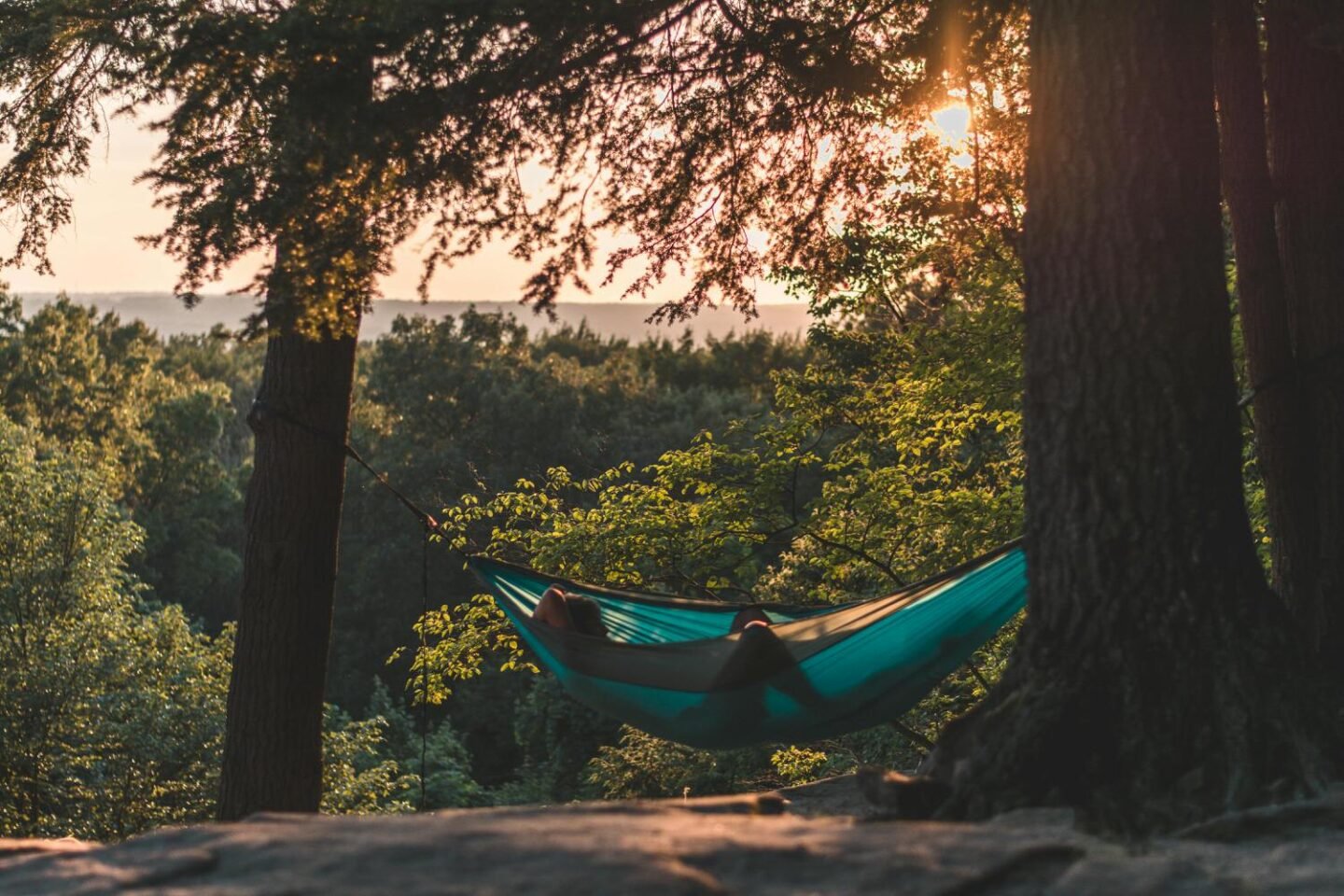 You Can Turn Your Garden Into Your Own Slice Of Heaven