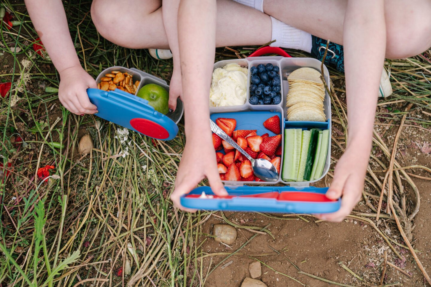 The Best picnic lunch boxes for families