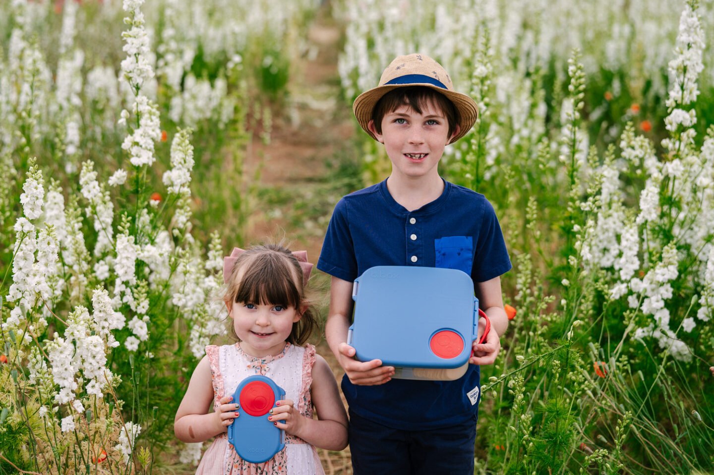 b.box lunch and snack box