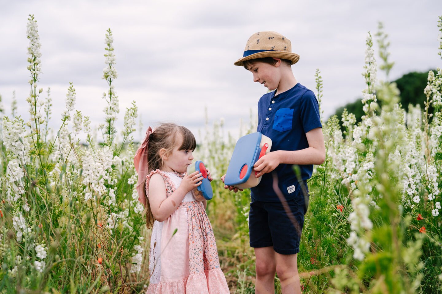 b.box food storage boxes review