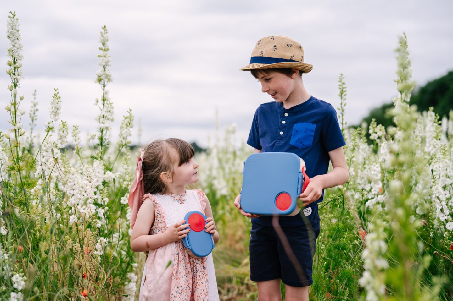 b.box storage boxes review