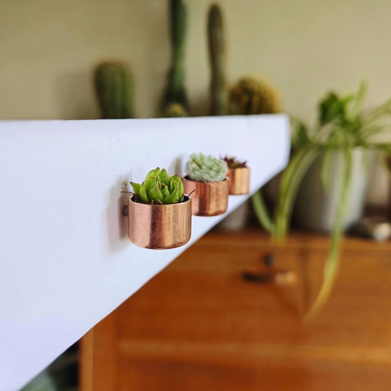 Magnetic mini succulent planeter