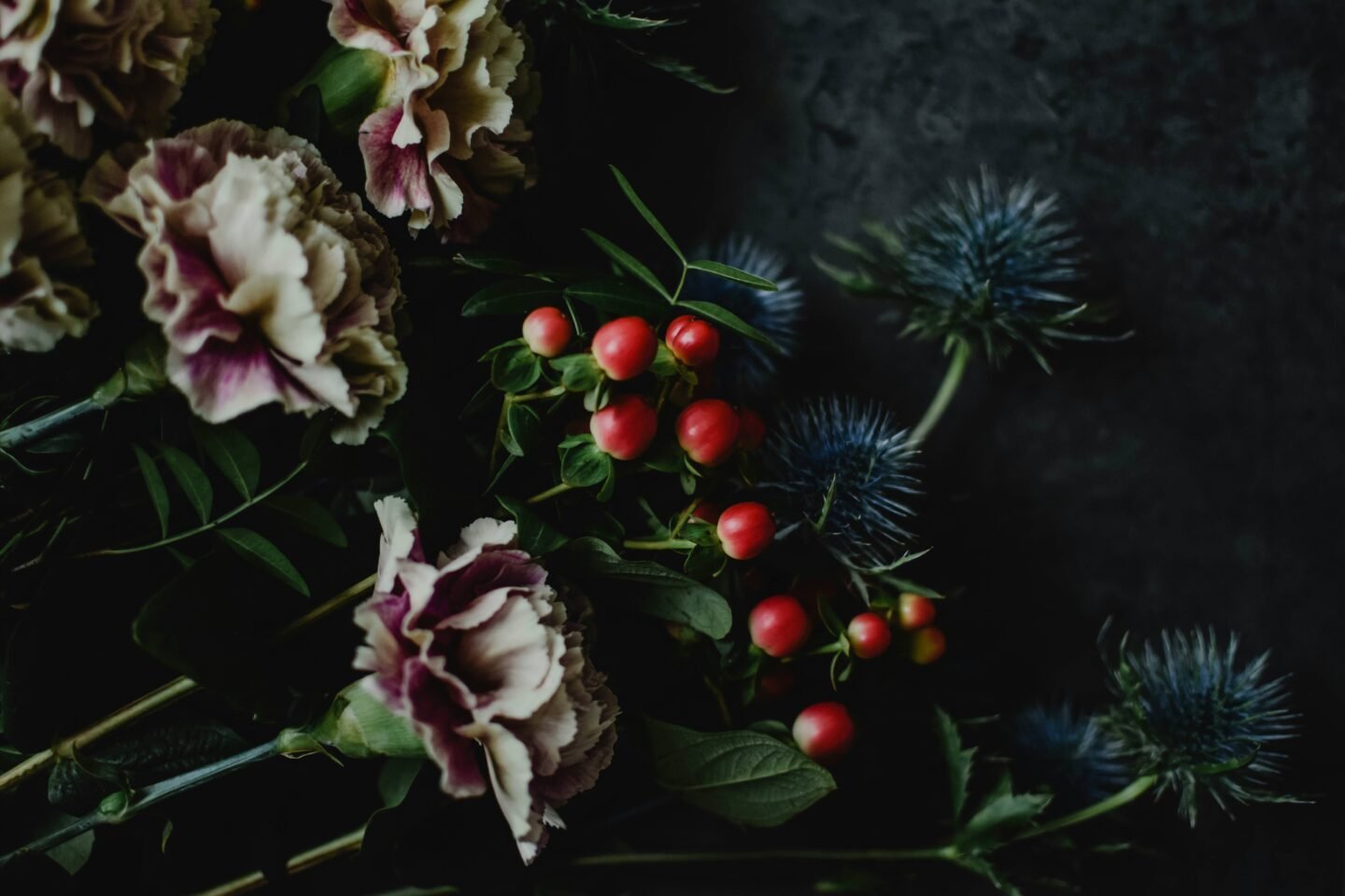 Christmas Flowers