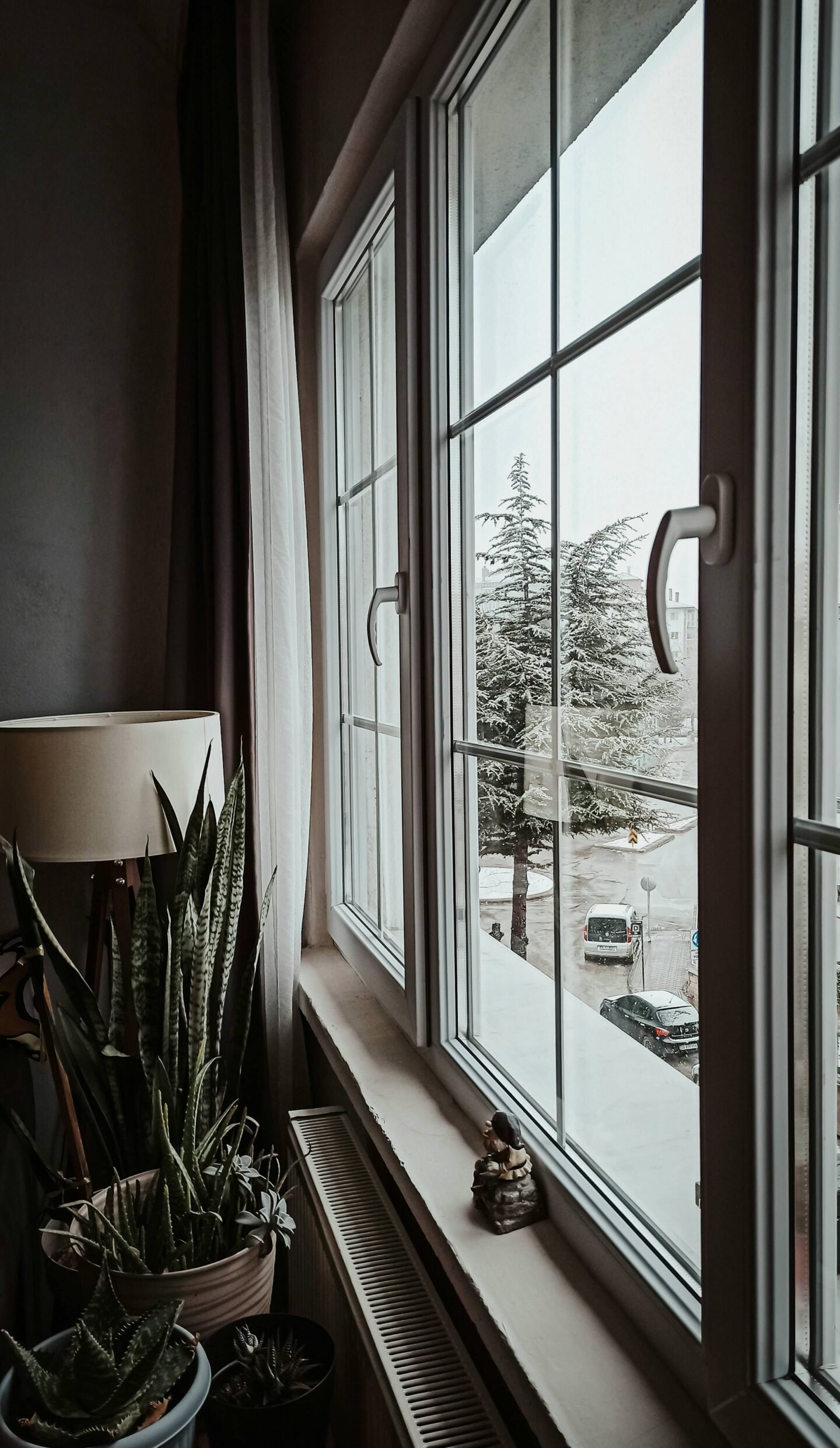 Home renovations - repairing or replacing windows